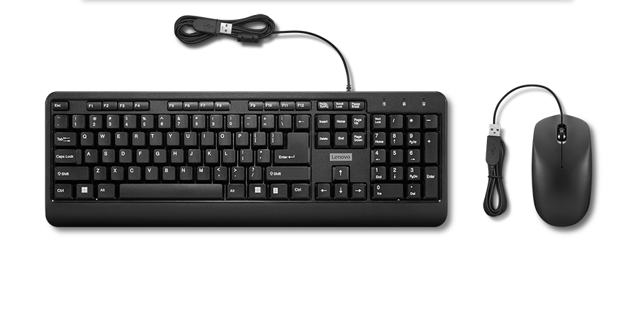 Buy Lenovo 160 Wired Combo 4X31M70370