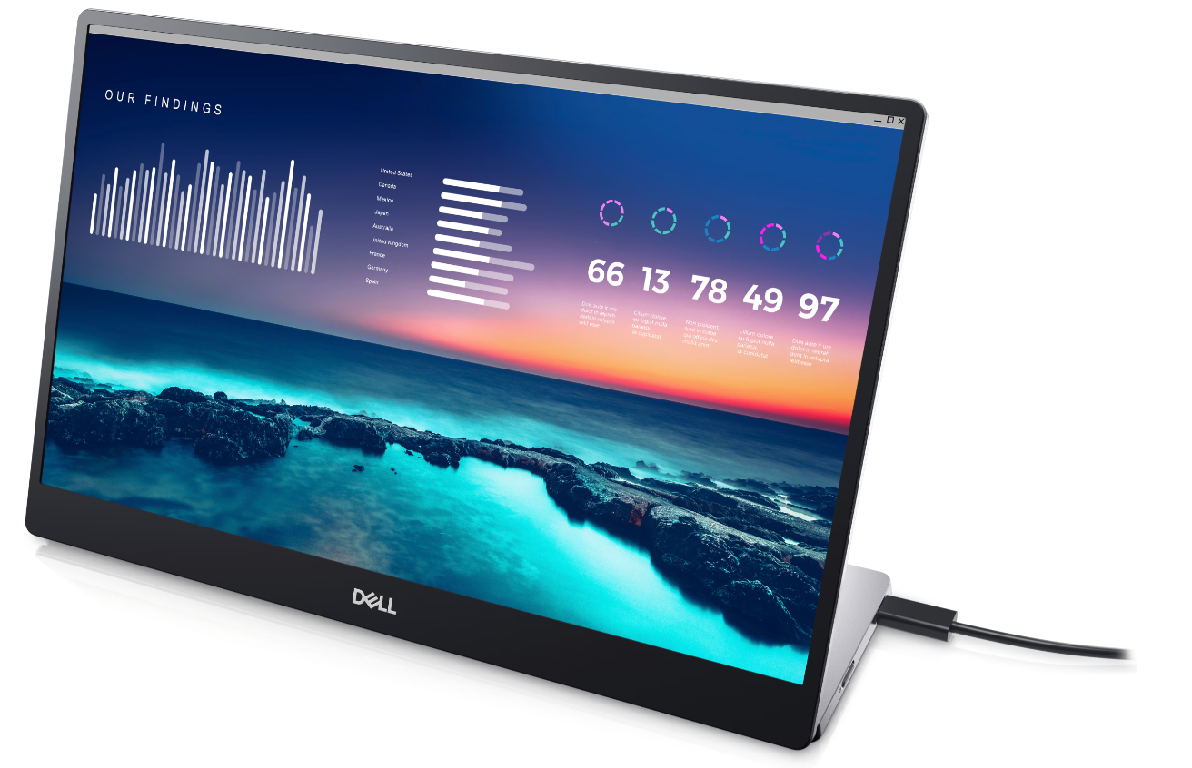 Buy P1424H Dell Monitor P1424H ,14
