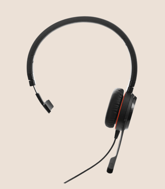 Buy Jabra Evolve 20 Stereo / Mono 4999-823-369