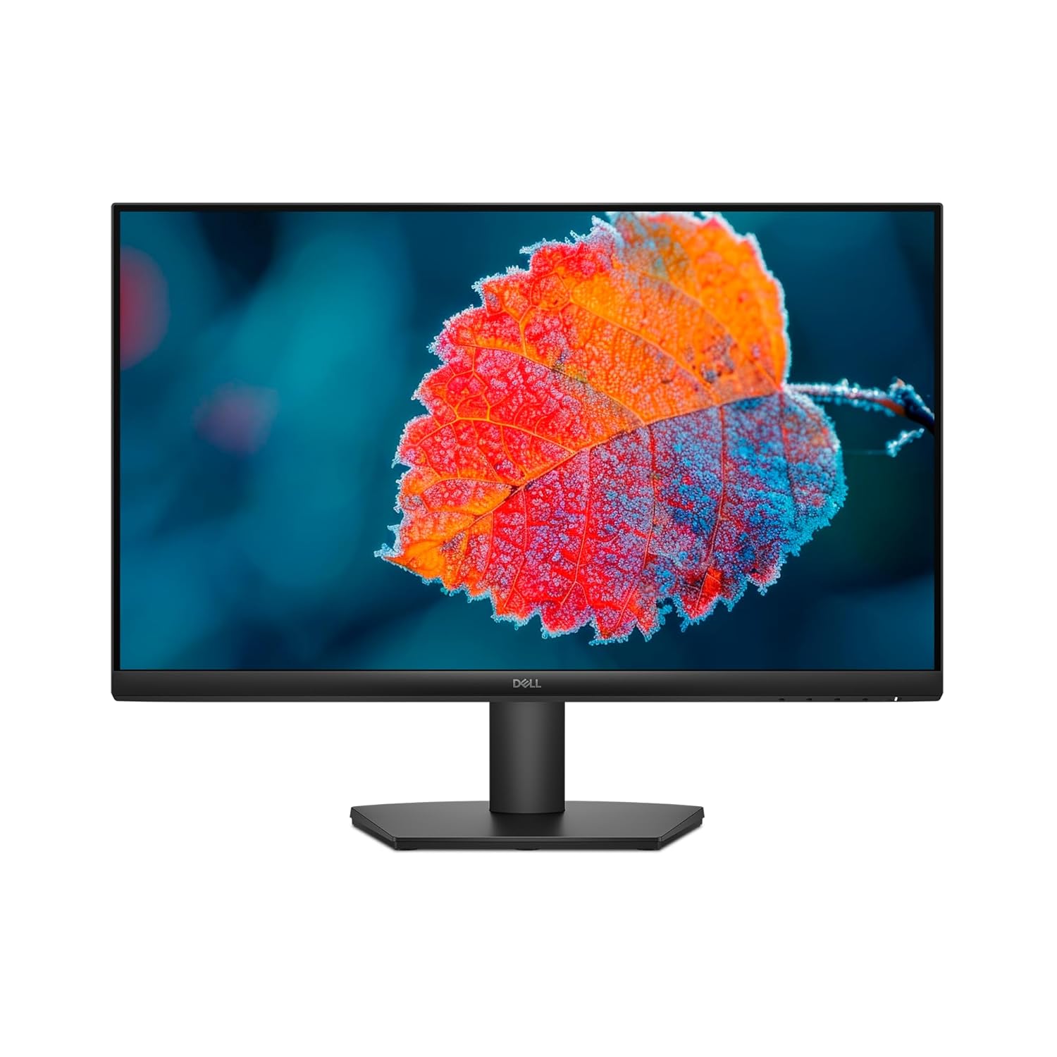 Buy Dell 27 Monitor - SE2725HM