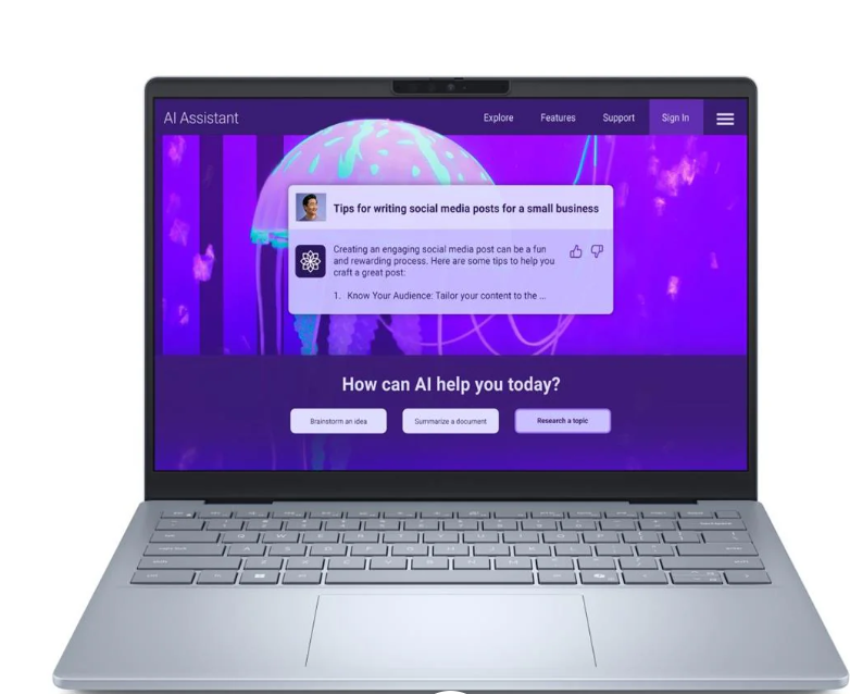 Buy Dell 14 Plus DB14250|U7-258V|32GB|1TB SSD|Intel Arc 14Plus-DB14250-202-AR