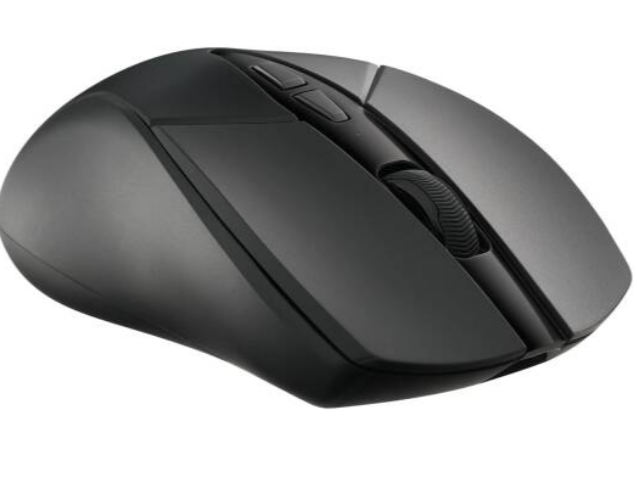 Buy RAPOO WIRED/WIRELESS GAMING BLACK MOUSE  V300SE
