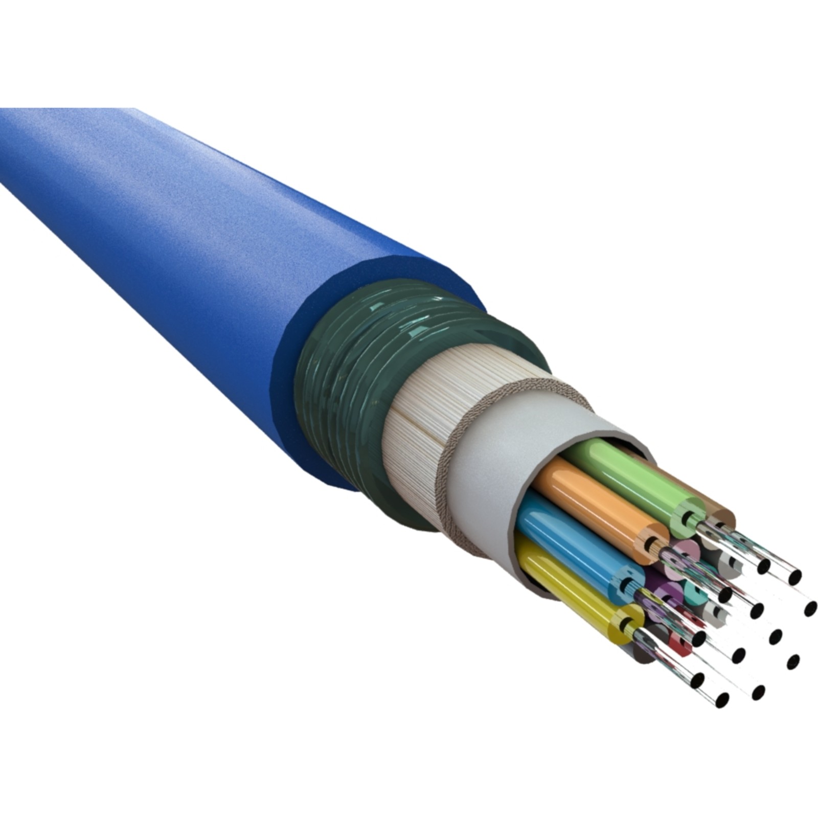 Buy 205-306 EXL OS2 8C 9/125 CST LT BU