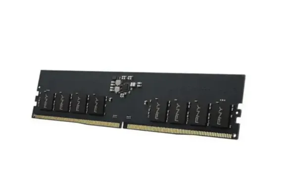 Buy PNY MD16GSD55600-SB 16GB DDR5 5600MHz Desktop Memory