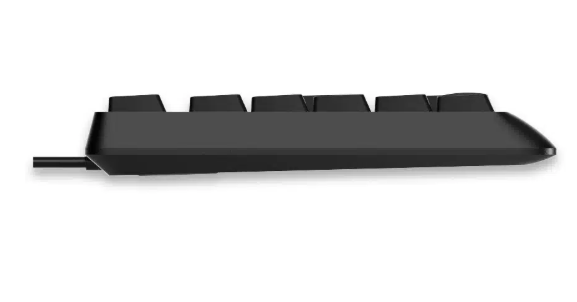 Buy RAPOO NK1900 WIRED KEYBOARD AR_BLACK