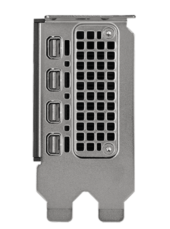 Buy Graphics card | NVIDIA RTX 2000 Ada | 16 GB GDDR6 4X61P69962