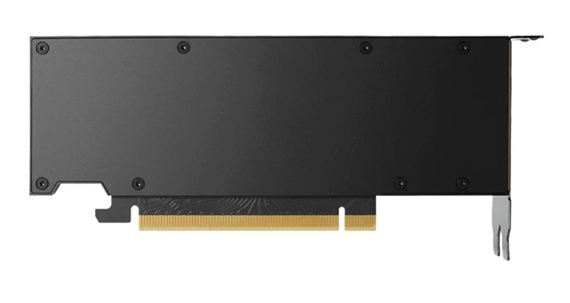 Buy Graphics card | NVIDIA RTX 2000 Ada | 16 GB GDDR6 4X61P69962