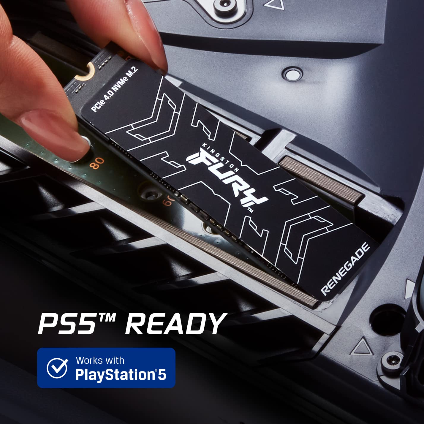 Buy 1000G  FURY Renegade PCIe 4.0 NVMe M.2 SSD 7,300MB/s R, 7,000MB/s W