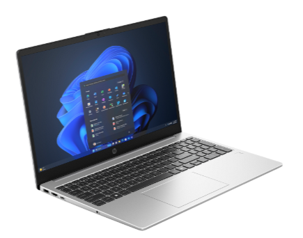 Buy HP LAP 250R G10NB UMA 3 100U 8GB 512GB  SSD 15.6''FHD BACKLIT KB TURBO SILVER  CT1E1AT#BH5