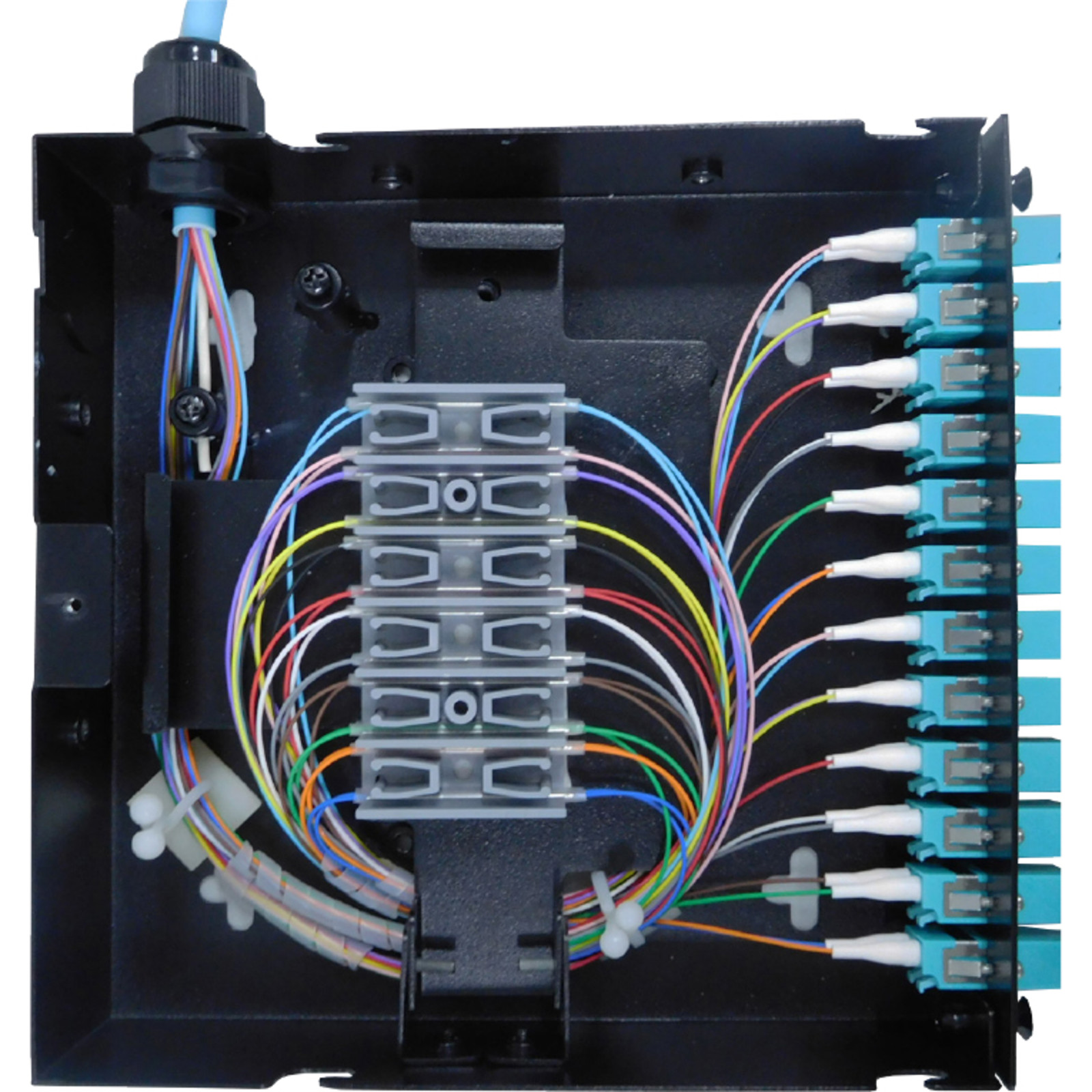 Buy 208-210 Enbeam 12 SC Splx SM (Blue) din rail box