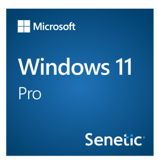 Buy FQC-10528 Windows 11 Pro 64Bit Eng Intl 1pk DSP OEI DV