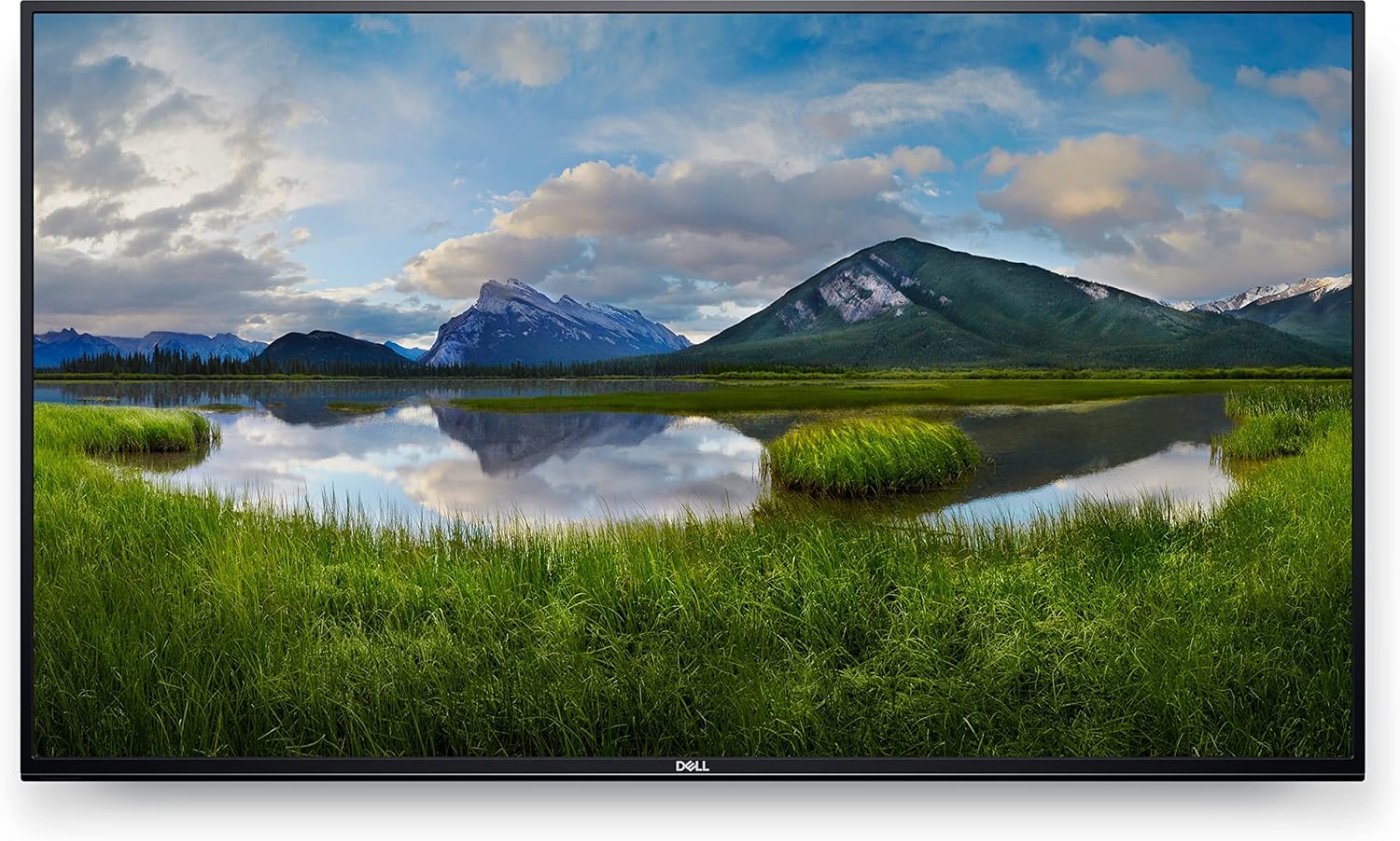 Buy Dell BB-DEL1100147 Dell 55 4K Monitor BB-DEL1100147