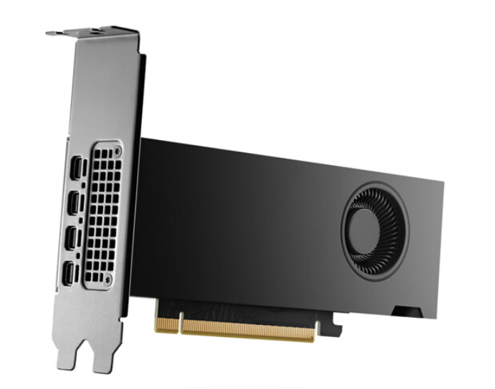 Buy HP NVIDIA RTX 2000 Ada Generation Graphics Card 8D6B8AA