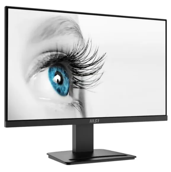 Buy MSI PRO MP2412 9S6-3BA9CH-049 Monitor 23.8 inch FHD 100Hz