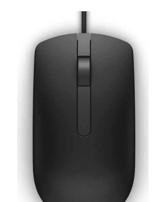 Buy Dell Optical Mouse-MS116 - Black (RTL BOX) MS-VPN-570-AAIR